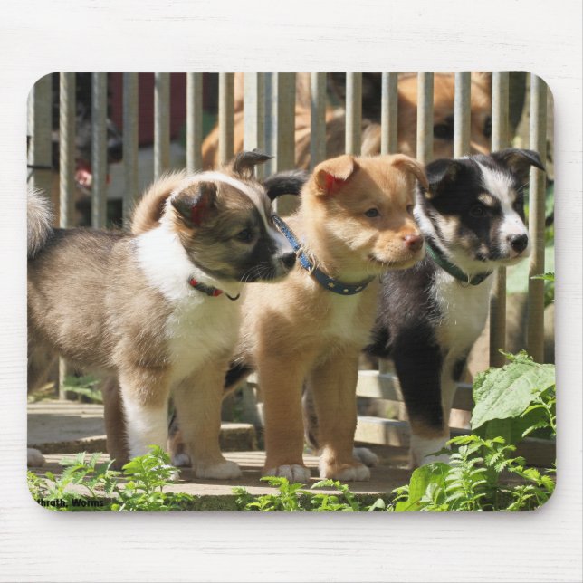 Islandhundewelpen Mouse Pad (Front)