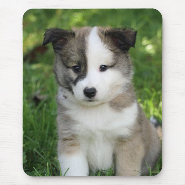 Islandhundwelpe Splitface Mouse Pad (Front)
