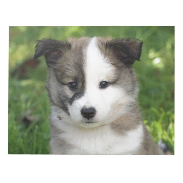 Islandhundwelpe Splitface Notepad (Front)