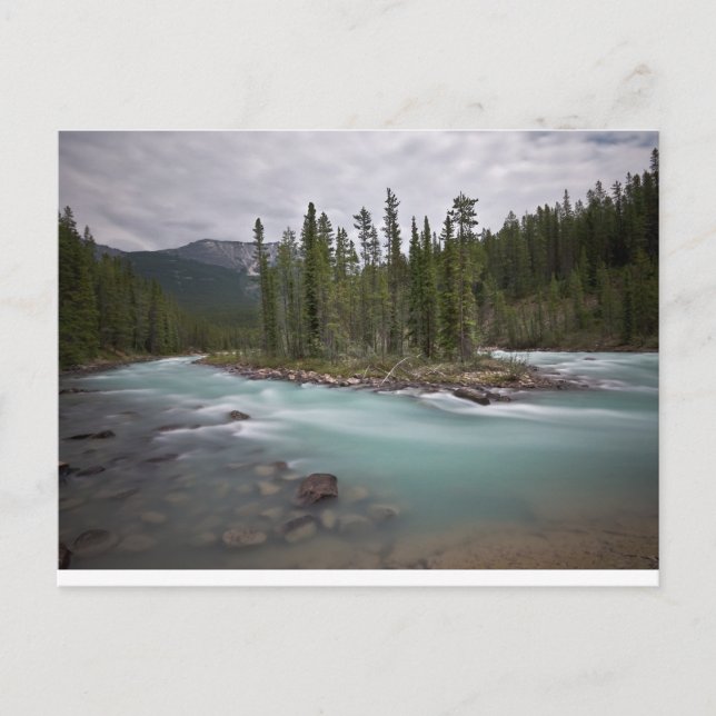 Islands In The Stream Postcard (Front)