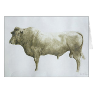Islay Bull 2004