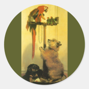 Islay, Tilco, a Macaw and Love Birds by Landseer Classic Round Sticker