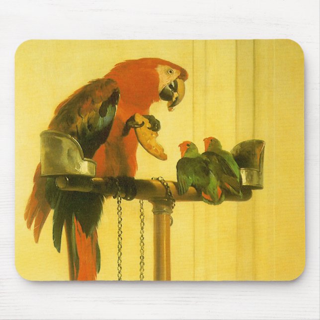 Islay, Tilco, a Macaw and Love Birds by Landseer Mouse Pad (Front)
