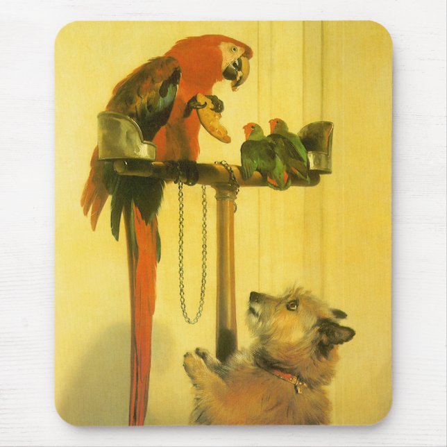Islay, Tilco, a Macaw and Love Birds by Landseer Mouse Pad (Front)