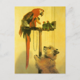 Islay, Tilco, a Macaw and Love Birds by Landseer Postcard