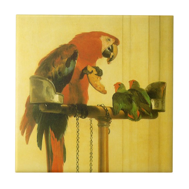 Islay, Tilco, a Macaw and Love Birds by Landseer Tile (Front)
