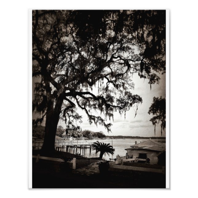 Isle Of Hope Photo Print (Front)
