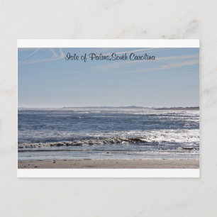 Isle of Palms,South Carolina Postcard