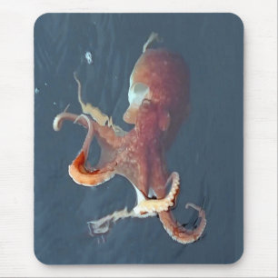Isle of Skye Octopus Mouse Pad Customisable Marine