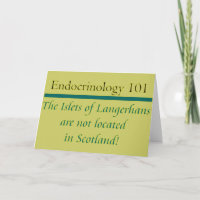Islets of Langerhans