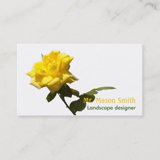 Isolate Yellow rose - template Business Card (Front)