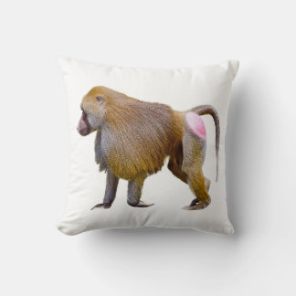 Isolated baboon walking postcard square sticker cushion