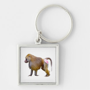Isolated baboon walking postcard square sticker key ring