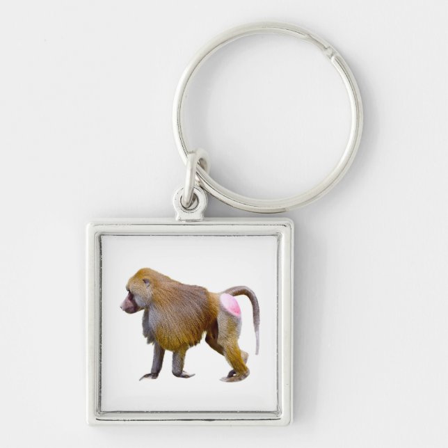 Isolated baboon walking postcard square sticker key ring (Front)