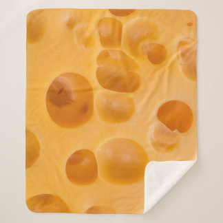 Isolated cheese piece, lovely design sherpa blanket