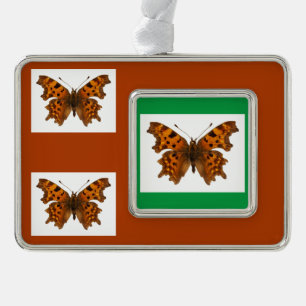 Isolated Comma butterfly Postcard Poster Christmas Silver Plated Framed Ornament