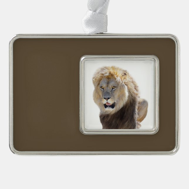Isolated lion sitting and sticking out your tongue silver plated framed ornament (Front)