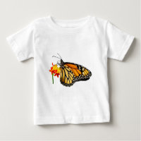 Isolated monarch butterfly