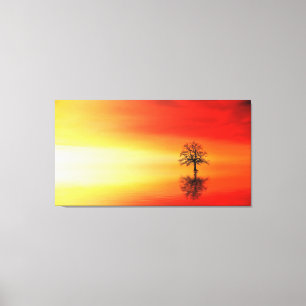 Isolation Canvas Print