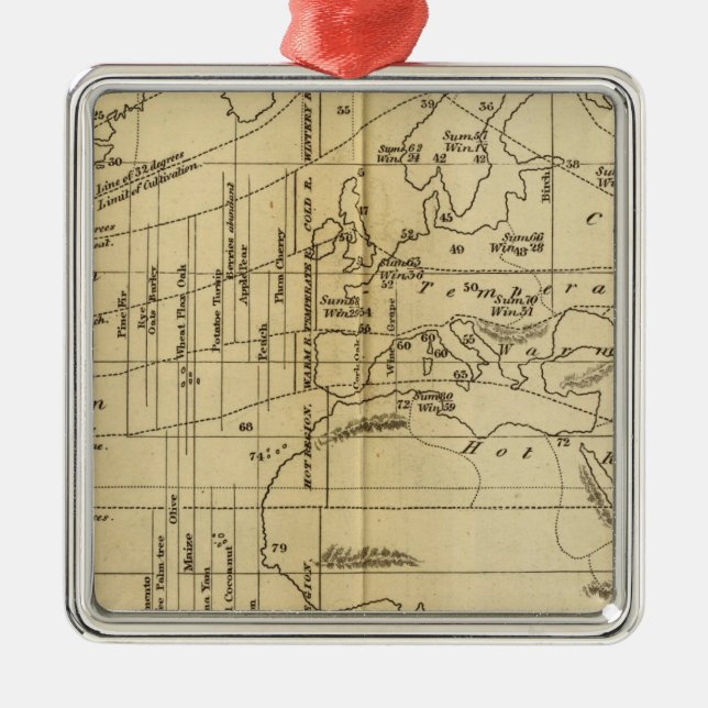 Isothermal chart metal tree decoration (Front)