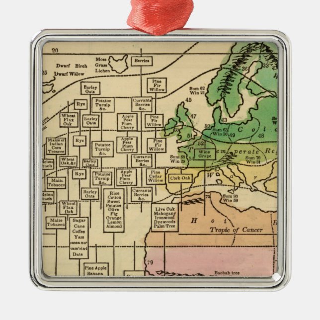 Isothermal chart, productions metal tree decoration (Front)