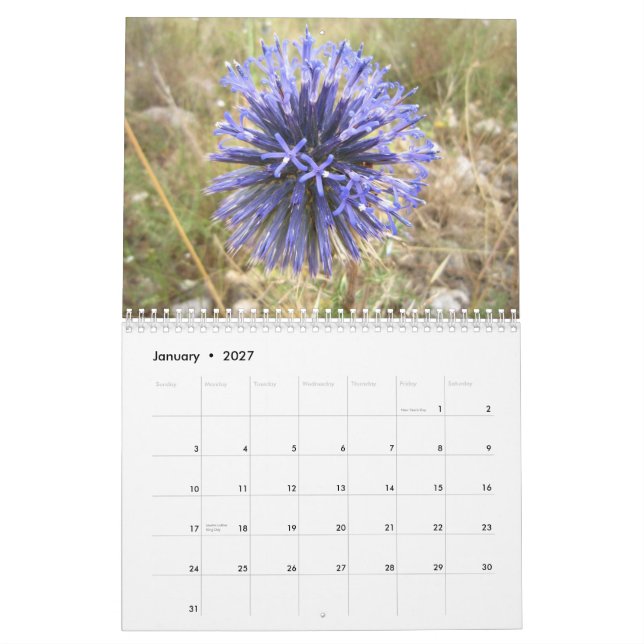 israel calendar (Jan 2027)