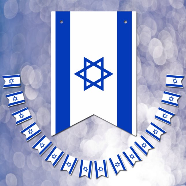Israel Flag & Party Israel Banners / Weddings (Creator Uploaded)