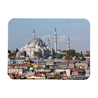 Istanbul Bosporus Magnet