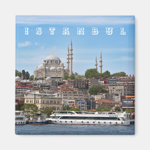 Istanbul. Cityscape. Magnet