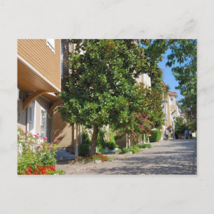 Istanbul street Postcard