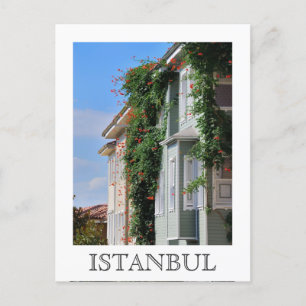 Istanbul street Postcard