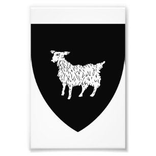 Istria Coat of arms in Croatia Photo Print