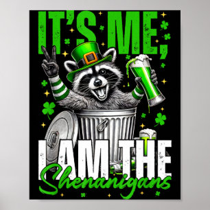 It's Me I'm The Shenanigans, Funny Raccoon Poster