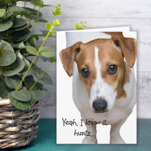 It Hurts Sad Dog Encouragement Card