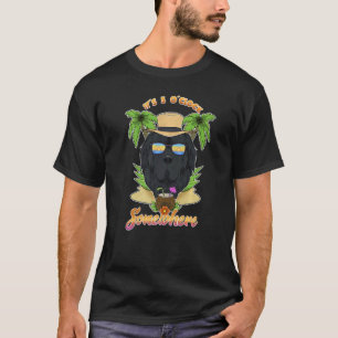 It Is 5 O´Clock Somewhere Drinking Newfoundland T-Shirt