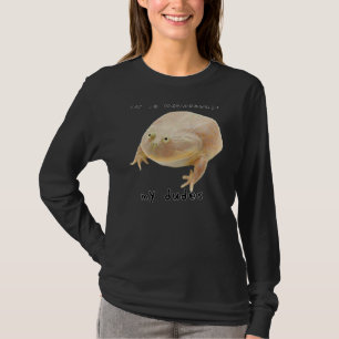 It is Wednesday My Dudes Classic Funny Frog Meme 1 T-Shirt