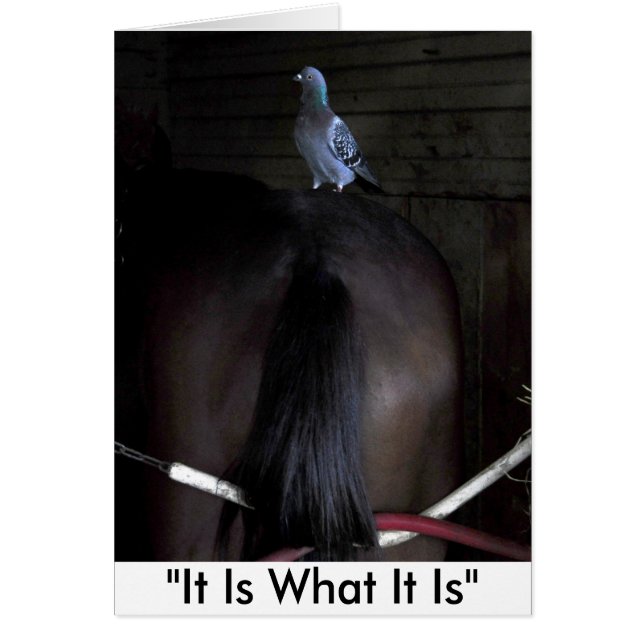 It Is What It Is (Front)
