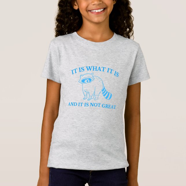 It Is What It Is And It Is Not Great Drawing T-Shirt (Front)