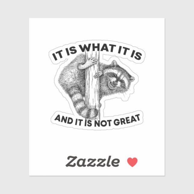 It Is What It Is And It Is Not Great Racoon (Sheet)