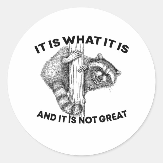It Is What It Is And It Is Not Great Racoon Classic Round Sticker (Front)