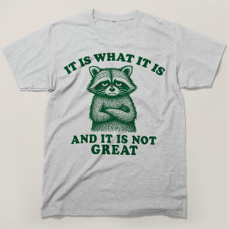It Is What It Is And It Is Not Great Racoon T-Shirt