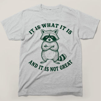 It Is What It Is And It Is Not Great Racoon T-Shirt