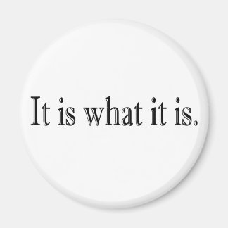 It Is What It Is Magnet