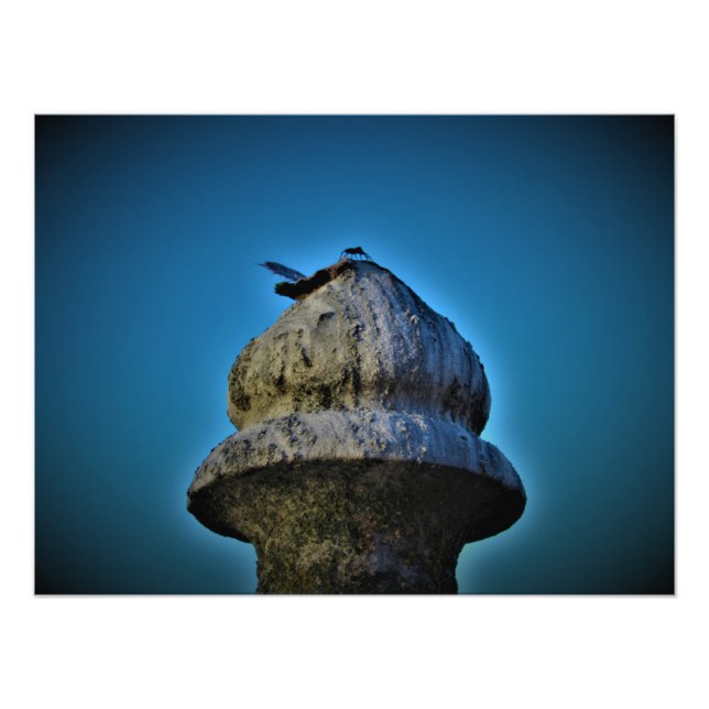 "It Lives by Sunset" Photo Print (Front)