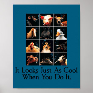 It looks just cool when you do it funny animals sm poster