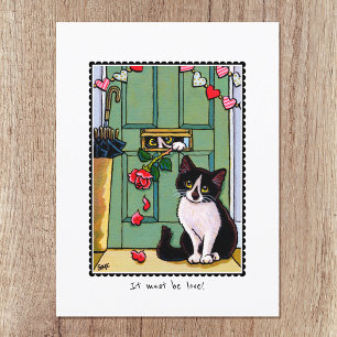 'It must be love' Kitty Cat Custom Postcard