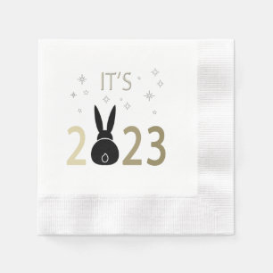 It’s 2023 Rabbit Throw Pillow Napkin