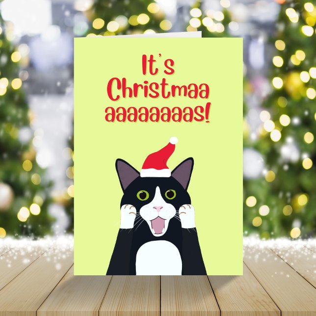 It’s Christmas funny tuxedo cat cartoon  Holiday Card (Creator Uploaded)