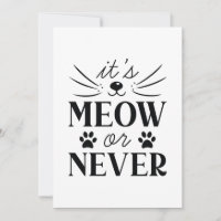 It’s Meow Or Never