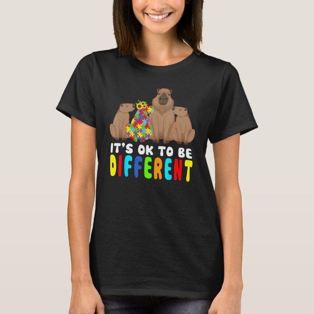 It s Ok To Be Different Capybara Autism Awareness T-Shirt (Front)